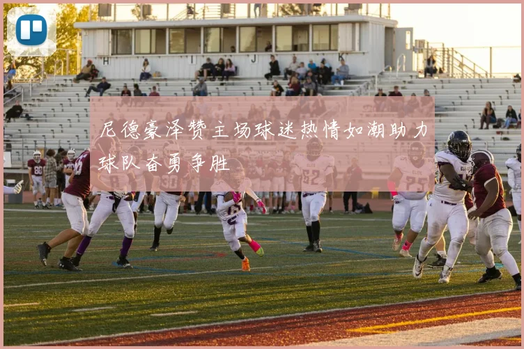 尼德豪泽赞主场球迷热情如潮助力球队奋勇争胜