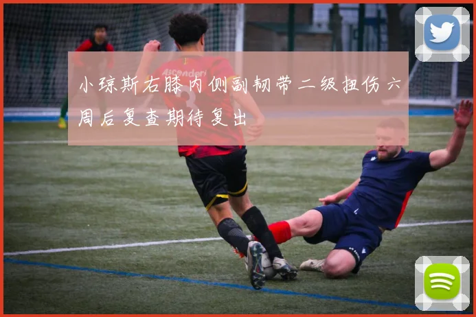 小琼斯右膝内侧副韧带二级扭伤六周后复查期待复出